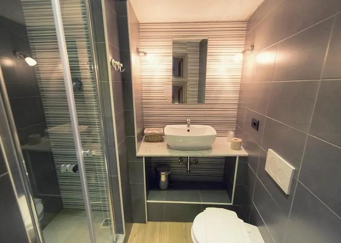 Hotel Hotel Pino Lerici